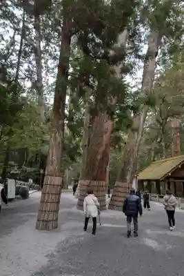 伊勢神宮内宮（皇大神宮）(三重県)