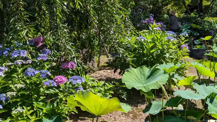 法金剛院(京都府)