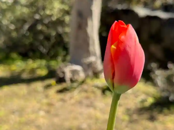 西方山極楽寺(岐阜県)