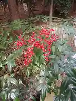 鹿島大神宮の自然