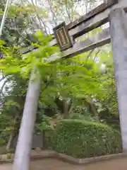 伊和志津神社(兵庫県)