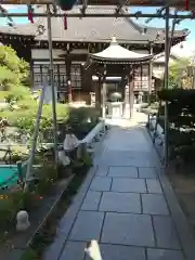 興徳寺の建物その他