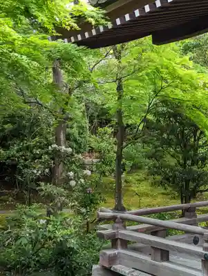 法金剛院(京都府)