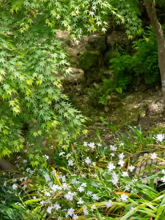 伏見稲荷大社の{uncategorized: "未分類", other: "その他", undefined: "問題あり", building: "その他建物", grave: "お墓", sacred_gate: "鳥居", guardian: "狛犬", statue: "像", buddha: "仏像", history: "歴史", nature: "自然", garden: "庭園", animal: "動物", pagoda: "塔", temizu: "手水舎", mountain_gate: "山門・神門", sanctuary: "本殿・本堂", subordinate: "末社・摂社", art: "芸術", scenery: "景色", jizo: "地蔵", ema: "絵馬", goshuin: "御朱印", omikuji: "おみくじ", items: "授与品その他", amulet: "お守り", goshuincho: "御朱印帳", eats: "食事", festival: "お祭り", votive_dance: "神楽", shichigosan: "七五三参", wedding: "結婚式", experience: "体験その他", initially: "初詣", around: "周辺", anti_infection: "感染症対策"}