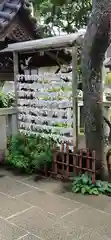 白山神社のおみくじ