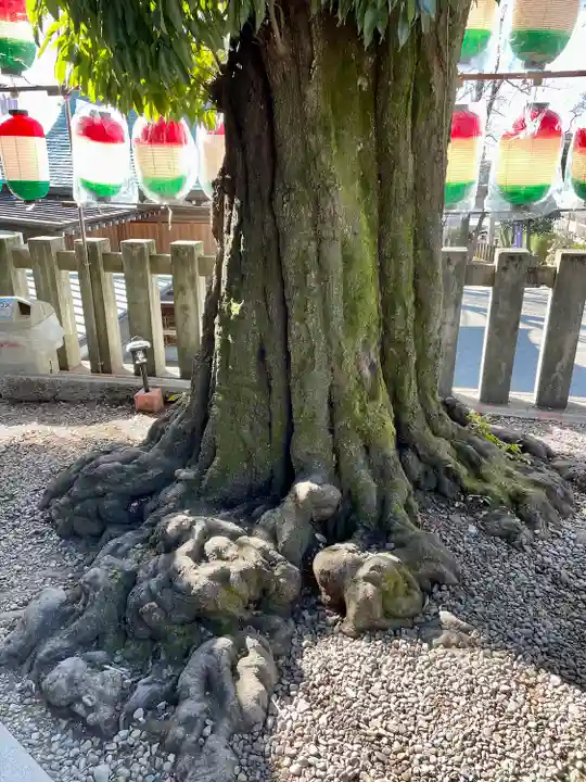北澤八幡神社(東京都)
