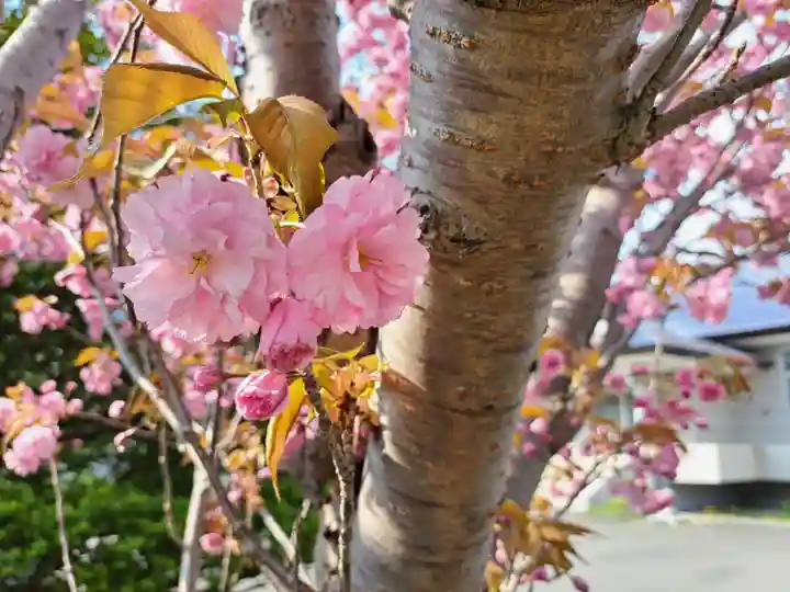極楽山 浄土寺(北海道)