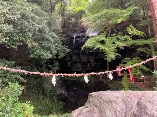 岩屋山 金剛寿院 福勝寺の自然