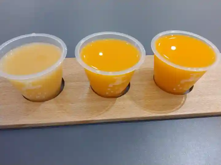 東雲神社(愛媛県)