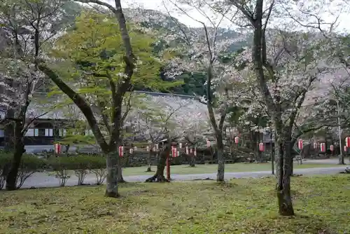 大寧寺(山口県)