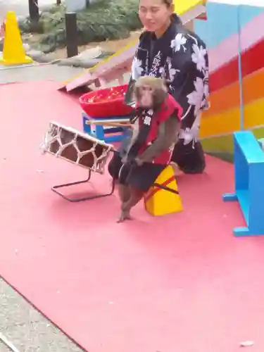 湯島天満宮の動物