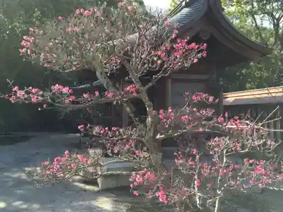 多賀神社(福岡県)