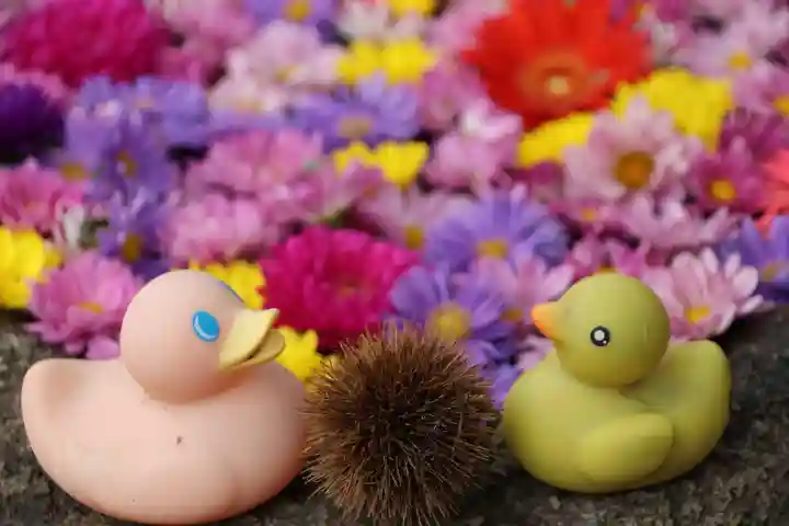 大鏑神社の手水舎