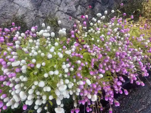 石峯寺(兵庫県)