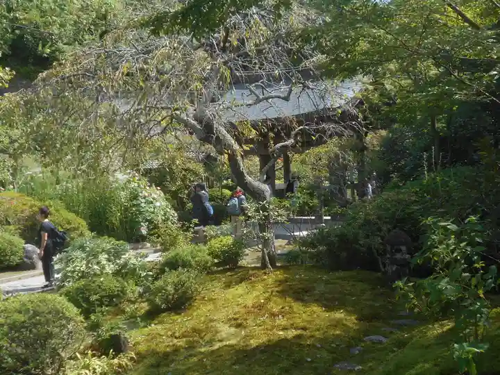 海蔵寺のその他建物