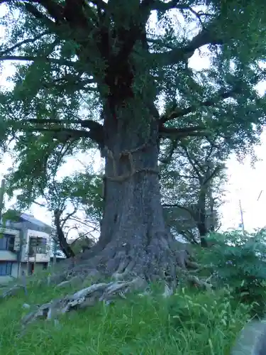 津島神社　御旅所跡(愛知県)
