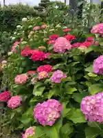 大東寺(福岡県)