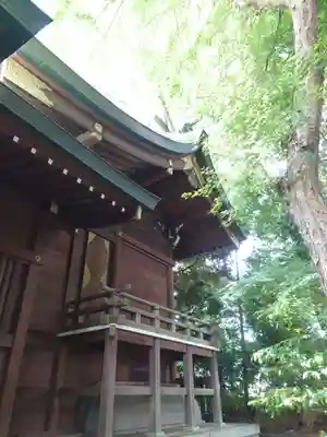 鎮守氷川神社の本殿・本堂