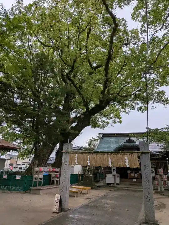 猿田彦大神の{uncategorized: "未分類", other: "その他", undefined: "問題あり", building: "その他建物", grave: "お墓", sacred_gate: "鳥居", guardian: "狛犬", statue: "像", buddha: "仏像", history: "歴史", nature: "自然", garden: "庭園", animal: "動物", pagoda: "塔", temizu: "手水舎", mountain_gate: "山門・神門", sanctuary: "本殿・本堂", subordinate: "末社・摂社", art: "芸術", scenery: "景色", jizo: "地蔵", ema: "絵馬", goshuin: "御朱印", omikuji: "おみくじ", items: "授与品その他", amulet: "お守り", goshuincho: "御朱印帳", eats: "食事", festival: "お祭り", votive_dance: "神楽", shichigosan: "七五三参", wedding: "結婚式", experience: "体験その他", initially: "初詣", around: "周辺", anti_infection: "感染症対策"}