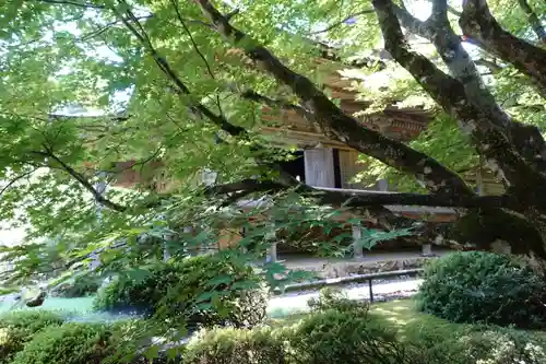 若狭神宮寺の自然