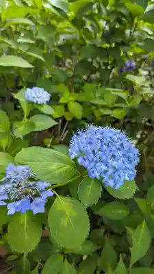 真正極楽寺(真如堂)(京都府)