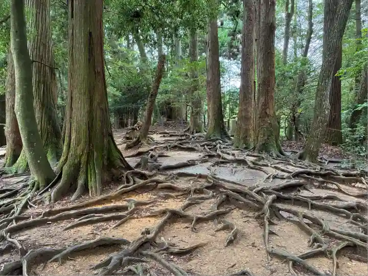 鞍馬寺奥の院 魔王殿(京都府)