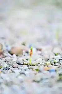 浄土寺(兵庫県)(2024年09月21日(土) 07時00分09秒投稿)