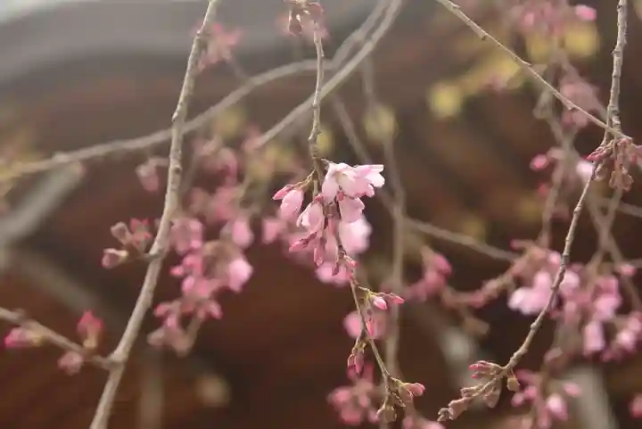 鈴鹿明神社(神奈川県)