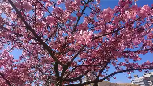 宇都宮二荒山神社の自然