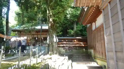 王子神社(徳島県)