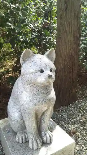 座間神社の狛犬