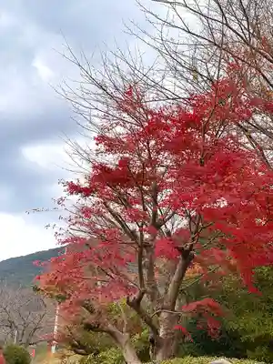 足立山妙見宮（御祖神社）(福岡県)