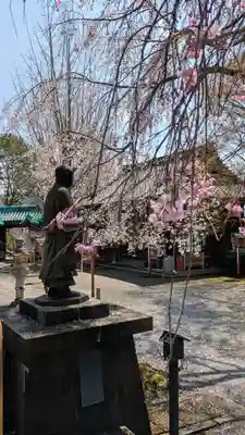 松ヶ崎大黒天 妙圓寺（妙円寺）(京都府)