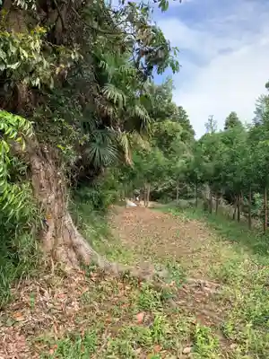 大宮神社(千葉県)