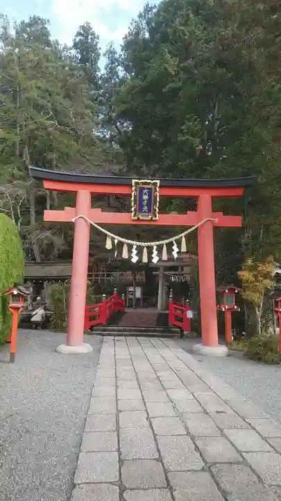 天河大辨財天社の鳥居