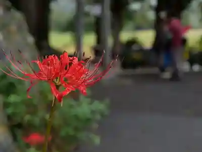 高司神社〜むすびの神の鎮まる社〜(福島県)