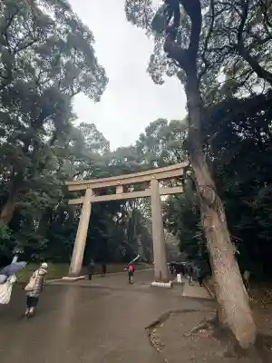 明治神宮(東京都)