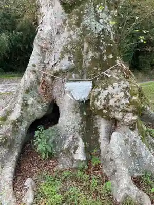 御霊神社の自然
