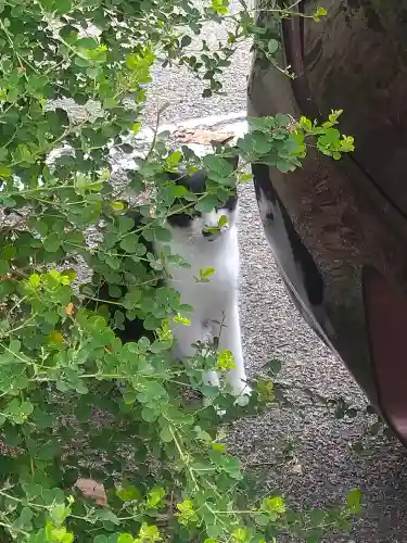 鴻八幡宮の周辺