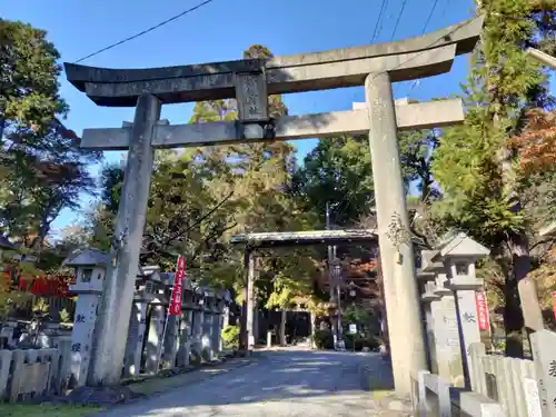 針綱神社の鳥居