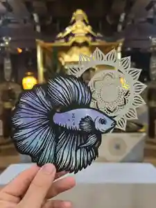 隨願寺(三重県) 2024年06月29日(土)〜(2024年06月26日(水) 04時35分57秒投稿)