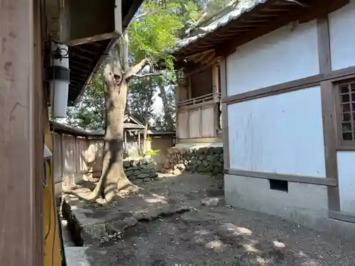 糸我稲荷神社(和歌山県)