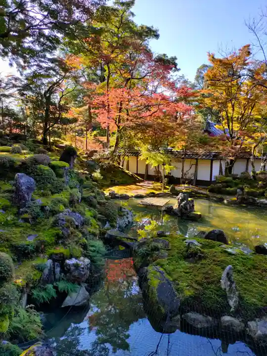 西明寺の庭園