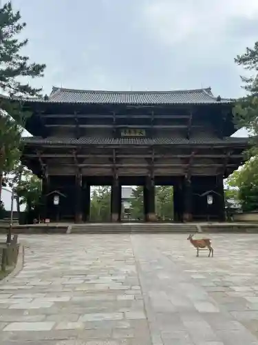 東大寺の{uncategorized: "未分類", other: "その他", undefined: "問題あり", building: "その他建物", grave: "お墓", sacred_gate: "鳥居", guardian: "狛犬", statue: "像", buddha: "仏像", history: "歴史", nature: "自然", garden: "庭園", animal: "動物", pagoda: "塔", temizu: "手水舎", mountain_gate: "山門・神門", sanctuary: "本殿・本堂", subordinate: "末社・摂社", art: "芸術", scenery: "景色", jizo: "地蔵", ema: "絵馬", goshuin: "御朱印", omikuji: "おみくじ", items: "授与品その他", amulet: "お守り", goshuincho: "御朱印帳", eats: "食事", festival: "お祭り", votive_dance: "神楽", shichigosan: "七五三参", wedding: "結婚式", experience: "体験その他", initially: "初詣", around: "周辺", anti_infection: "感染症対策"}