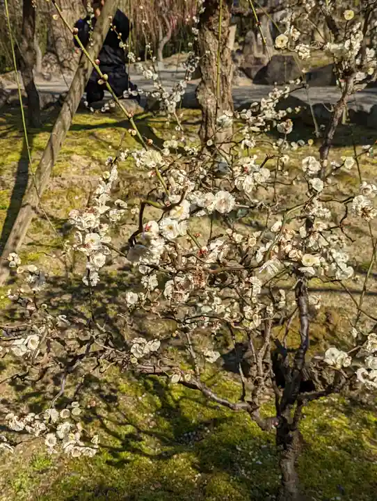 城南宮(京都府)