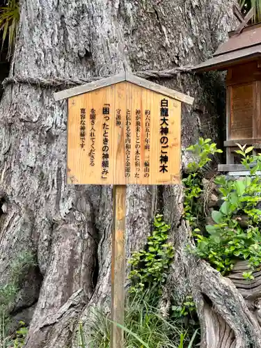 吉祥草寺(奈良県)