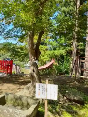 松澤神社の自然
