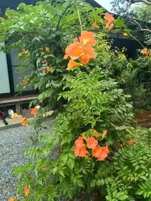 玉泉寺(東京都)