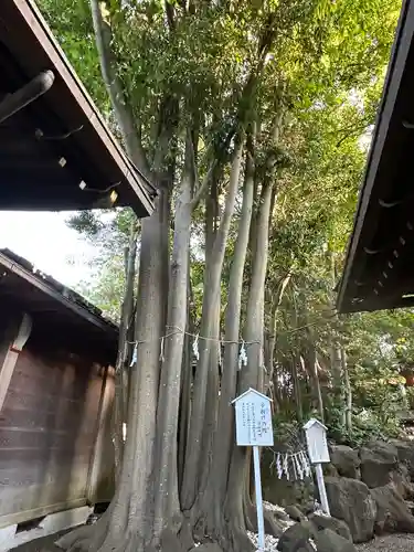 検見川神社の庭園