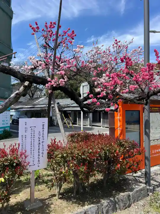 服織神社(真清田神社境内社)(愛知県)
